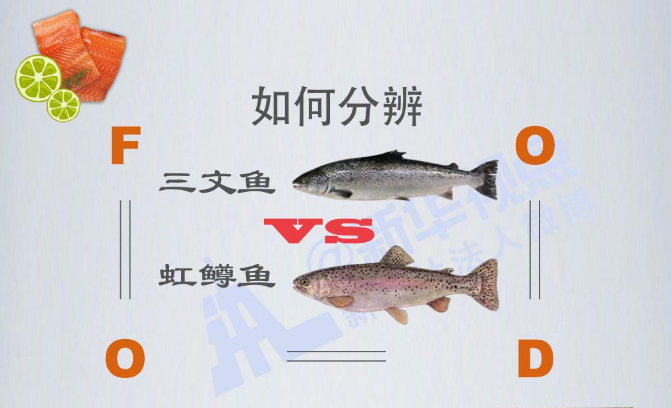 三文鱼还能“扩编”吗？这张图把三文鱼和虹鳟鱼分清了