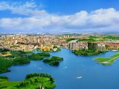 李希到阳江调研：打造沿海经济带重要战略支点