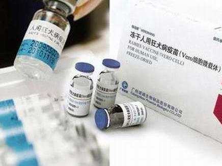 全国紧急部署补种狂犬病疫苗！你要知道的补种要点都在这