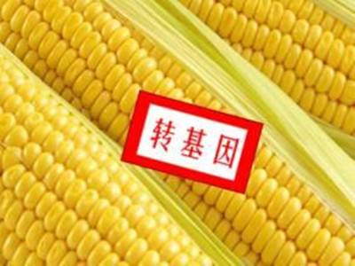 欧盟批准部分转基因进口：不直接向消费者出售，禁止种植