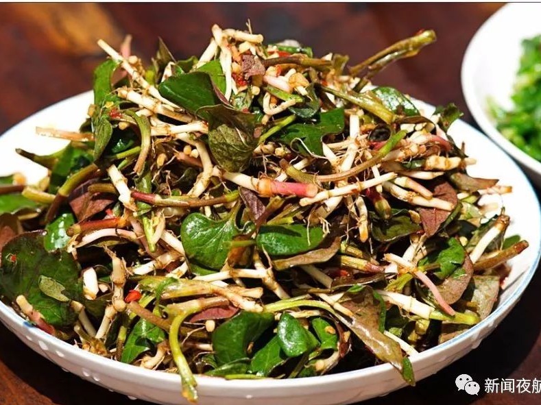 一盘“秋葵”下肚夫妻进ICU！这些“毒菜”千万别误食