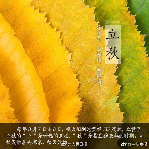 今日立秋，今年的夏天有什么属于你回忆吗？