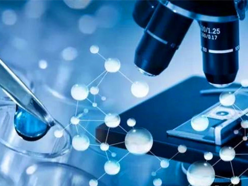 补齐基础创新短板!深圳抓紧制定基础科学研究