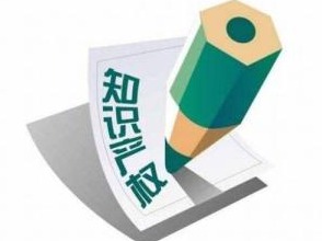 实施知识产权强市推进工程  打造知识产权强国建设高地