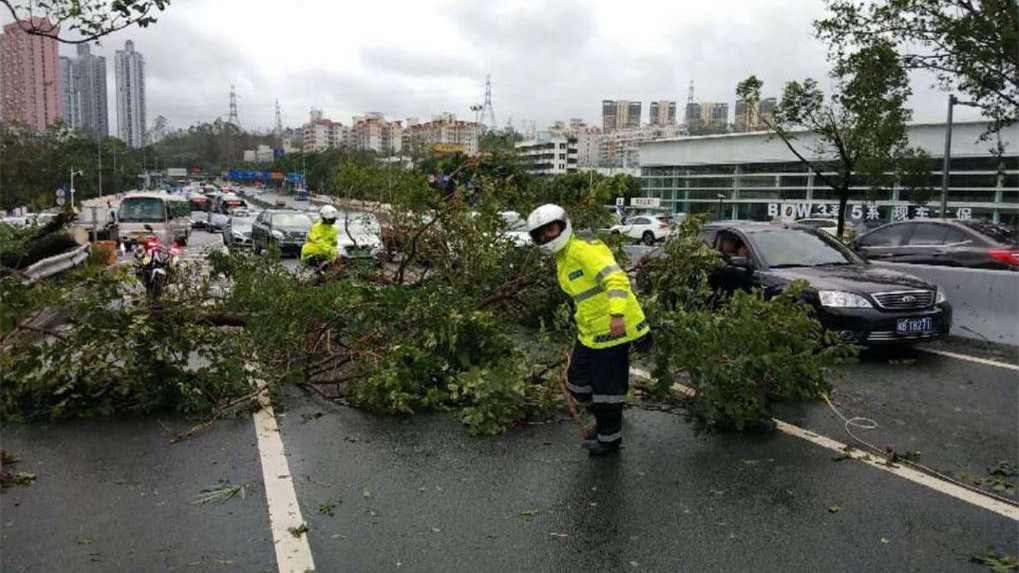 道路交通仍待恢复！深圳交警吁请司机停驶机动车,选择公共交通出行
