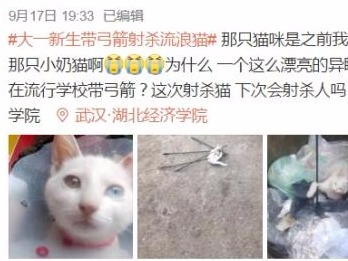 武汉大学生带弓箭射杀流浪猫，校方：警方已介入