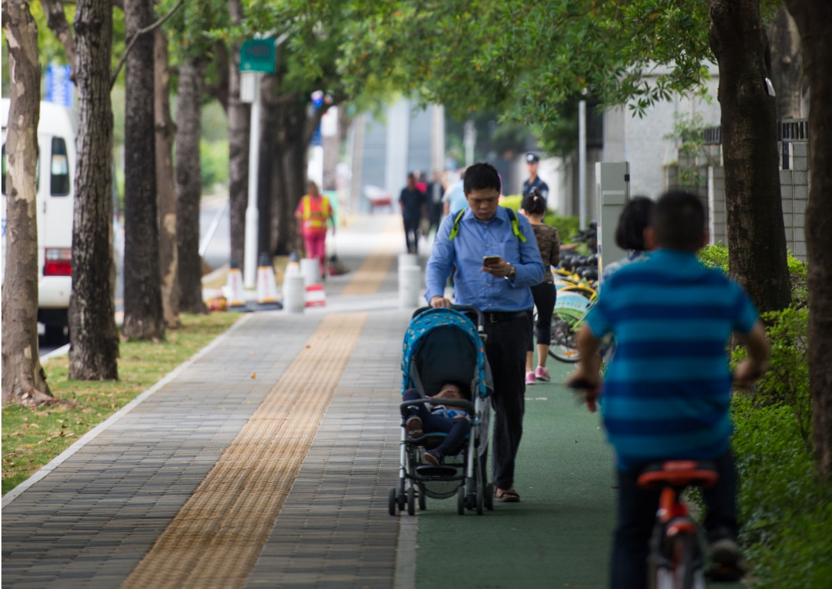 深圳市交通专家建议：建设慢行友好城市 保障慢行设施和机动车道享有平等路权