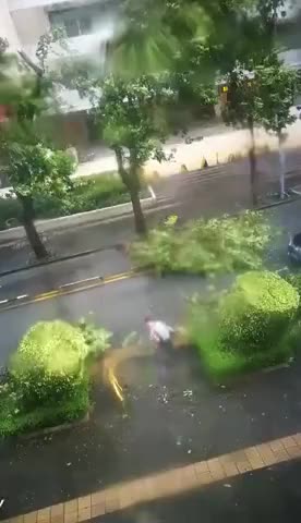 台风中，他拖开断折的树枝！为这位快递小哥点赞