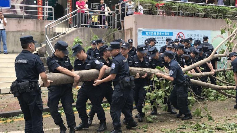 积水已消退、安置人员撤离…罗湖快速推进灾后秩序恢复工作