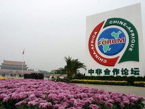 习近平分别会见出席中非合作论坛北京峰会的部分非洲国家领导人