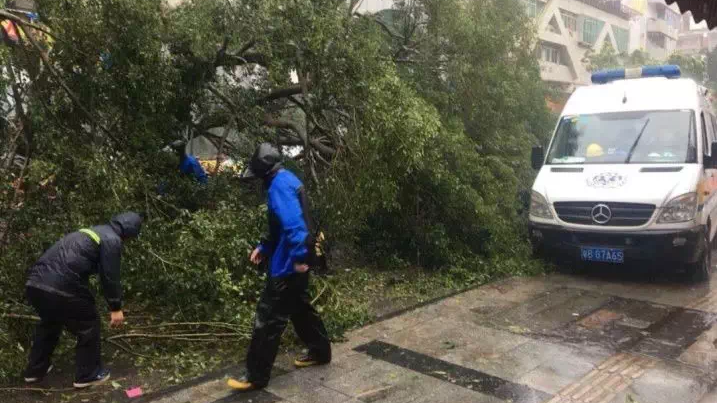 致敬“最可爱的人”！风雨中打通“生命通道”，灾后清理道路不眠不休