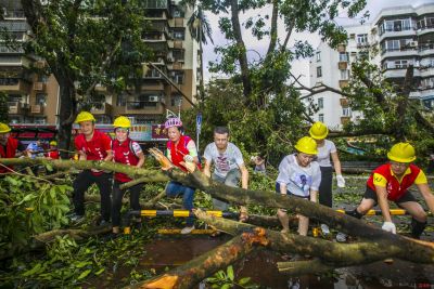 穿越丛林的“一点红”！1万多人次志愿者助力台风后清障工作