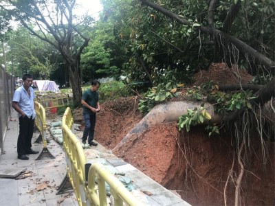 南山区发现1处地质灾害隐患点 疏散近百人
