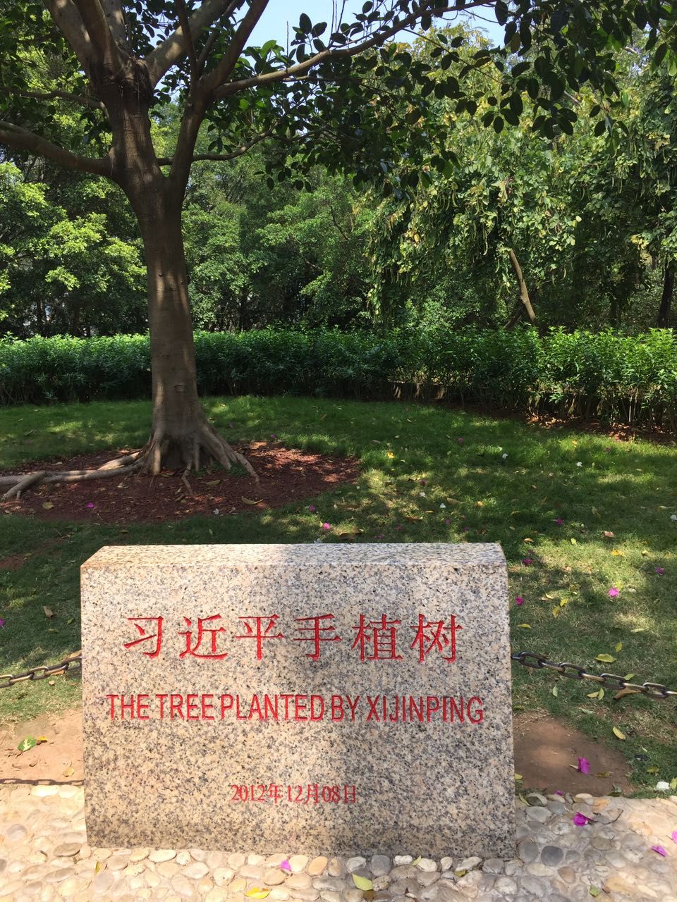 深圳登上人民日报头版头条：总书记在这里发出深化改革动员令