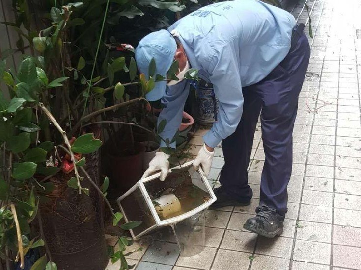 超强台风过后，福田区迅速启动灭蚊消毒工作