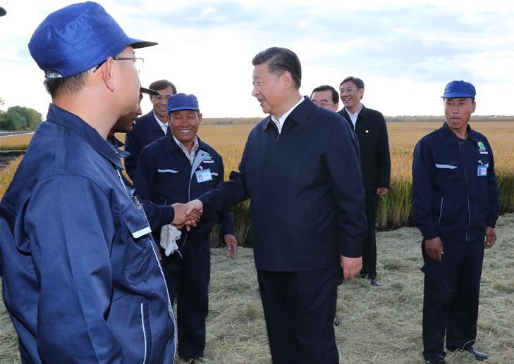 习近平：以新气象新担当新作为推进东北振兴