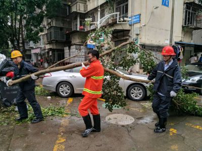 台风过后，深圳罗湖政协委员组织义工走上街头协助清理倒伏树木