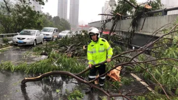 王伟中：全力以赴把台风带来的损失降到最低限度 
