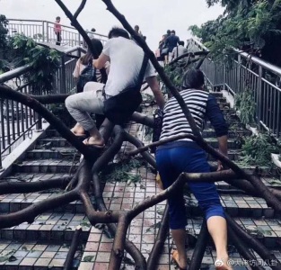 深圳人今天上班路上的照片，全国网友看后转疯了