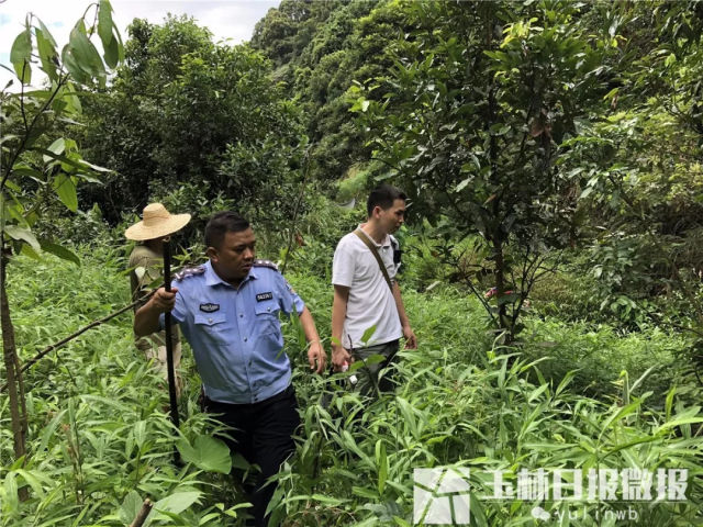 1岁女童深山走失88小时，无食无水奇迹生还，医生这样说
