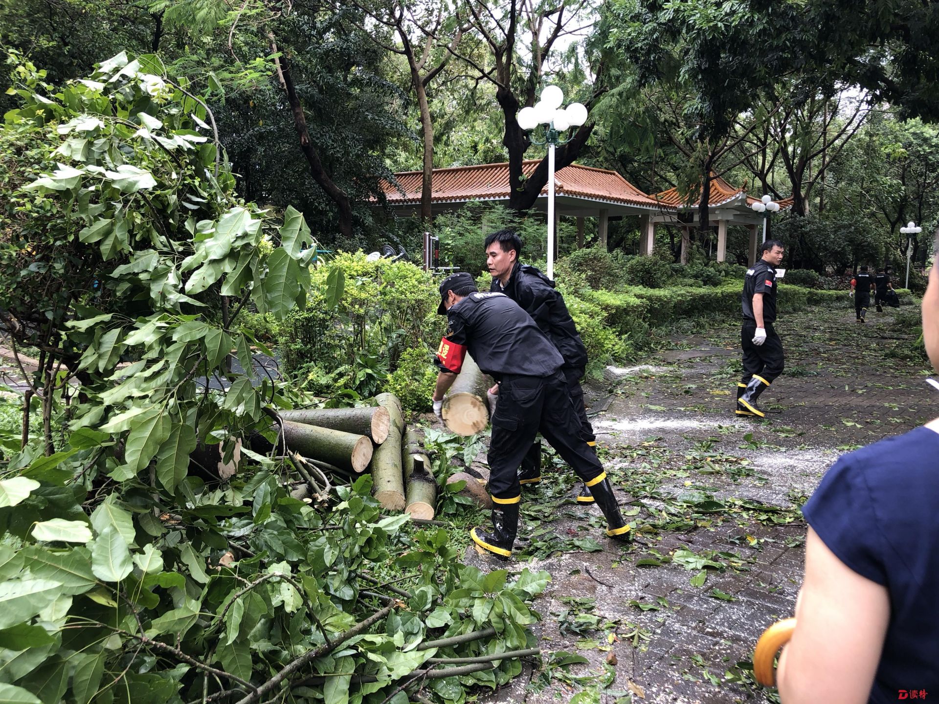全市公园仍然闭园！闭园结束前市民不要前往
