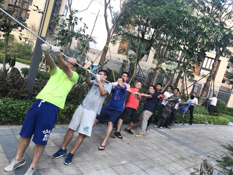 “山竹”过后，深圳一小区的这组照片火了！