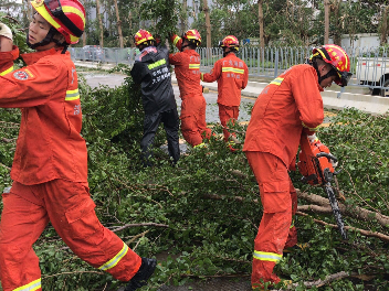 7700余消防员清理4400余棵树木 打通数百公里通道