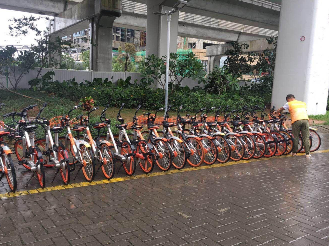 台风过后路上仍有积水 不要贸然涉水骑行