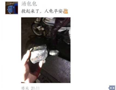 “一个没有感情的广东人”是什么梗？当事人回应令网友捧腹大笑