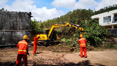 深圳正全力处理绿化垃圾 力争再用3天扶正倒伏的树木