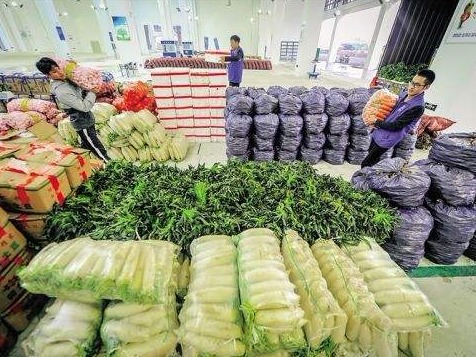 发改委：菜、蛋、生猪等农副产品价格将逐步回落 