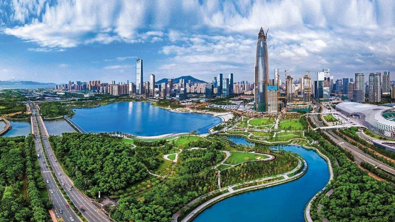 策马扬鞭自奋蹄 主动担当勇作为 ——五年来深圳组织工作综述