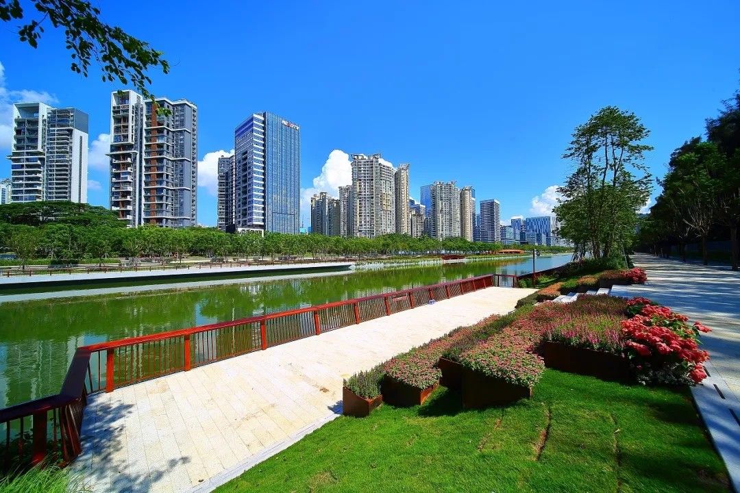 深圳入围国家森林城市！快来看看“森”圳之美