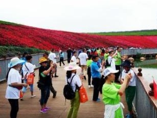 扎心了！为什么越锻炼越胖？原因在这…… 