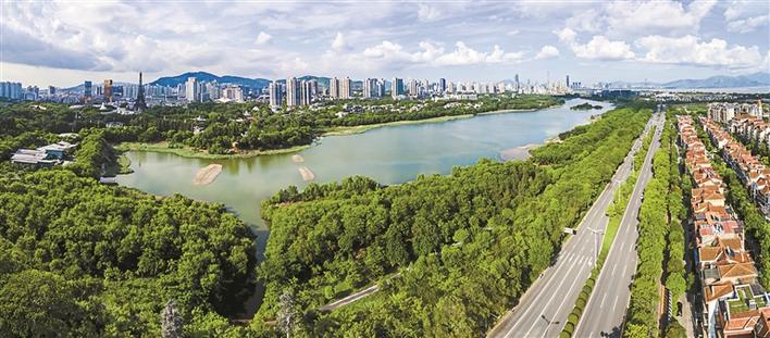 骄傲！深圳被正式批准为“国家森林城市”