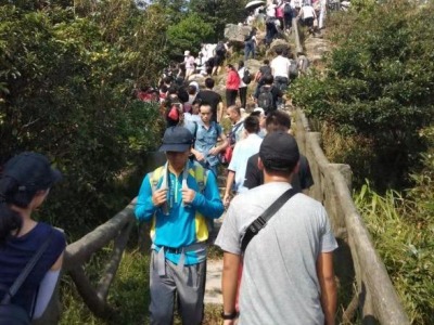 国庆长假第一天 近五万人登梧桐山