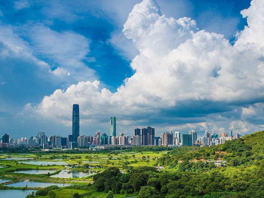 深圳市政协召开党组（扩大）会议研究部署政协系统学习贯彻工作