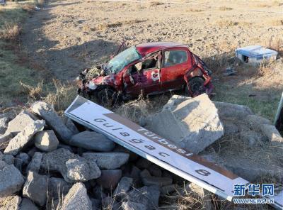 中土双方全力救治车祸中受伤中国游客