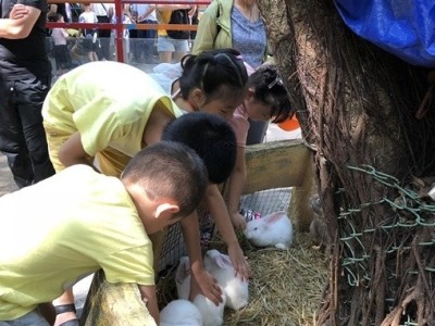 4岁娃动物园喂兔子被咬 家长索赔：没人提醒兔子会咬人