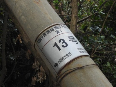 仙湖园内一电线杆躺倒多时，“山竹”留下的安全隐患何时消除？