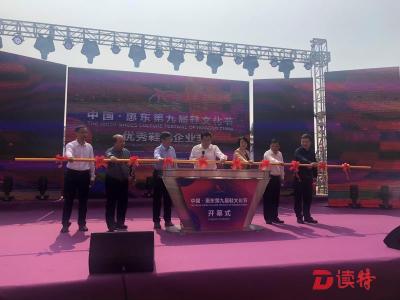 中国女鞋生产基地——  惠东第九届鞋文化节开幕
