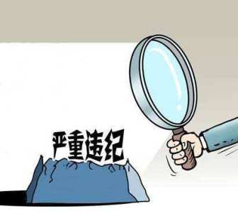 中国恒天集团有限公司董事长张杰接受纪律审查和监察调查