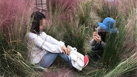 痛心！这片抖音上抖红的花海成这样了，种花阿姨都哭了……