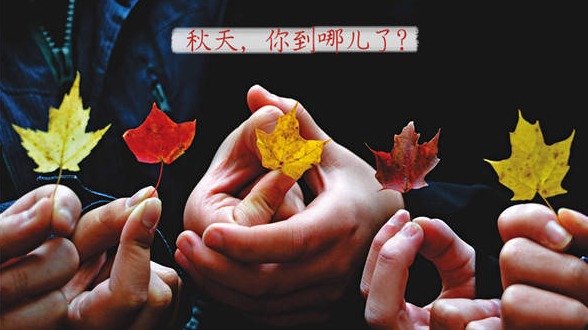 秋天，你到哪里了？ 
