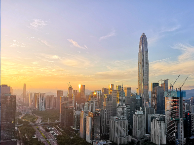 粤港澳大湾区机遇下的互融互通论坛在深举行  