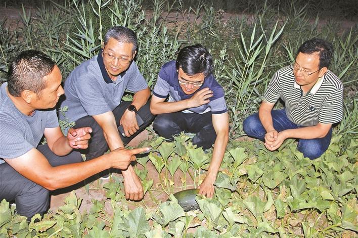 搭起深喀合作桥梁 “疆”爱进行到底  ——小记龙岗区龙岗街道援疆干部曹裕明