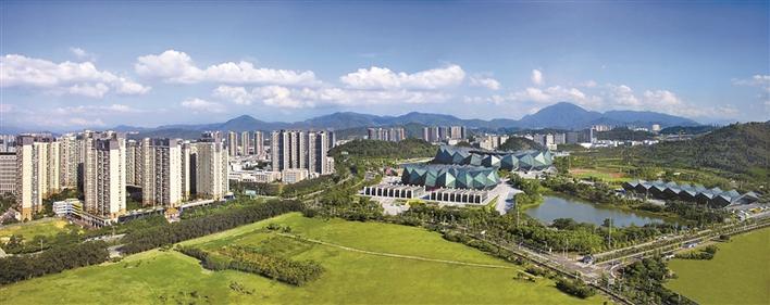 坚持法治引领 推动科学维稳  龙岗标本兼治着力营造安全稳定环境