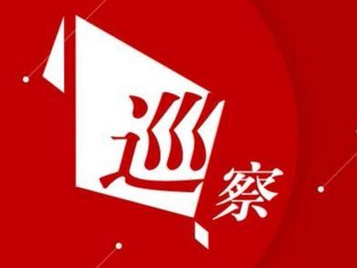 坪山区委第四轮巡察向5个被巡察党组织反馈意见