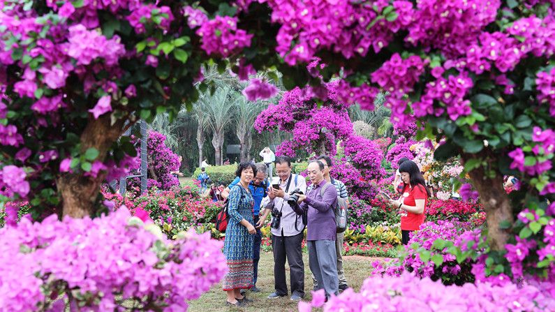 太火爆！太吸睛！快来看，一大波美图从莲花山公园流出