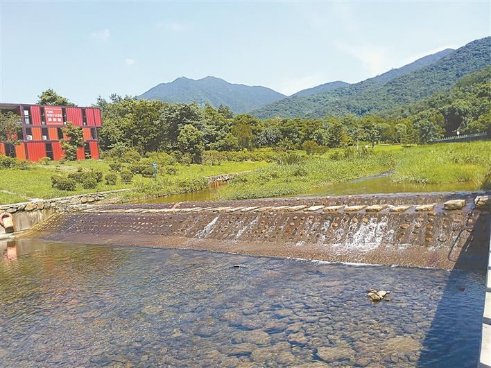 罗湖举全区之力打赢治水提质攻坚战